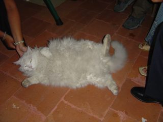 DSC01019.JPG
