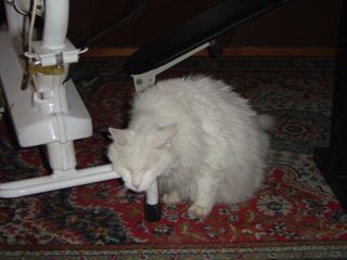 DSC01030.JPG