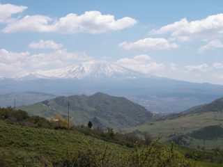 P1010002.JPG