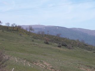 P1010008.JPG