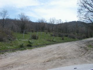 P1010011.JPG