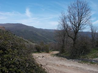 P1010012.JPG