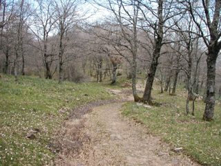 P1010014.JPG