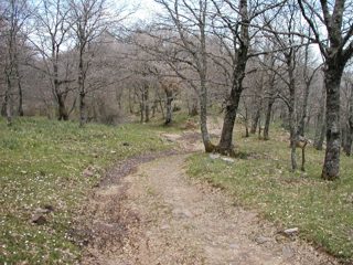 P1010015.JPG