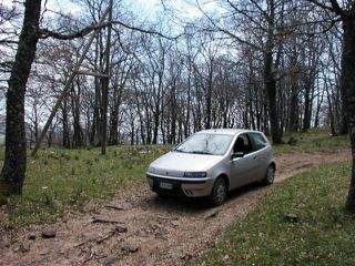P1010016.JPG