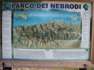 P1010017.JPG