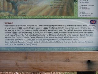 P1010018.JPG