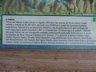 P1010019.JPG