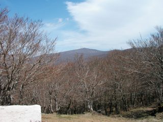 P1010020.JPG