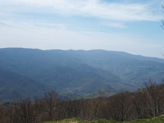 P1010021.JPG