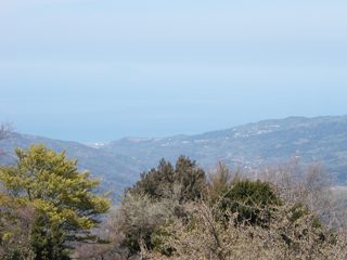 P1010024.JPG