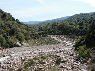 P1010027.JPG