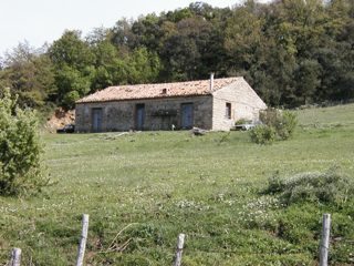 P1010029.JPG