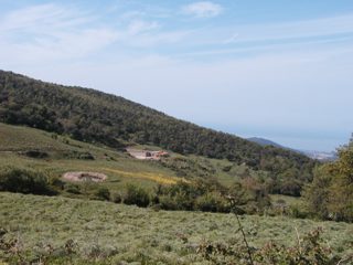 P1010030.JPG