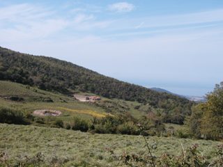 P1010031.JPG