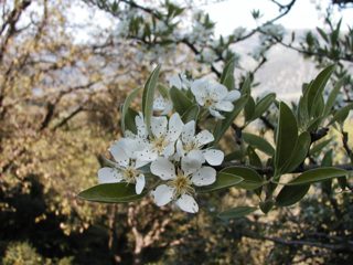 P1010033.JPG