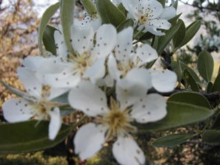 P1010034.JPG