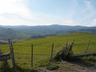 P1010045.JPG