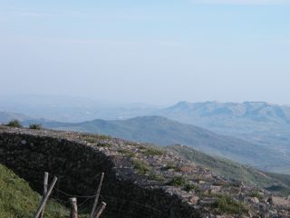 P1010048.JPG