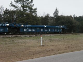 P1010015.JPG