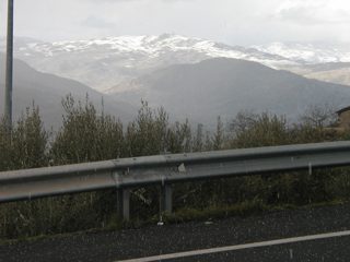 P1010001.JPG