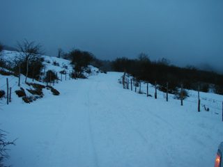 P1010002.JPG