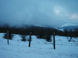 P1010003.JPG