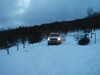 P1010004.JPG