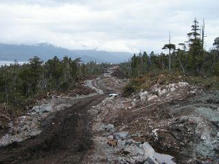 P1010018.JPG
