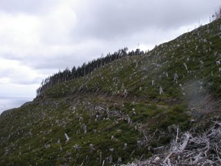 P1010025.JPG