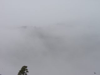 P1010048.JPG