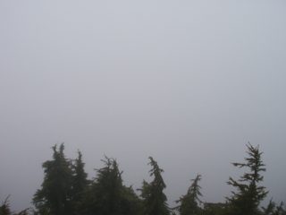 P1010054.JPG