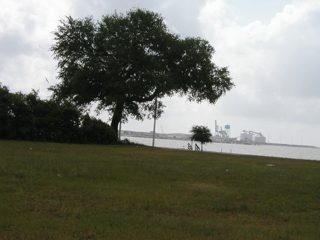 P1010001.JPG