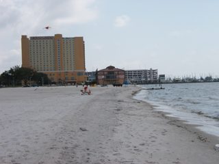 P1010002.JPG