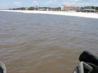 P1010003.JPG