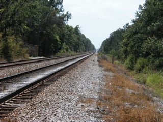 P1010005.JPG
