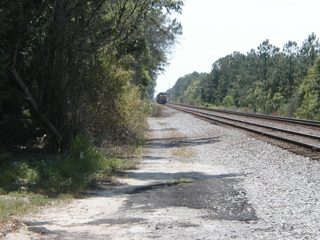 P1010006.JPG