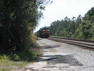 P1010007.JPG