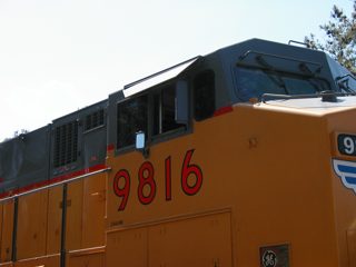 P1010015.JPG