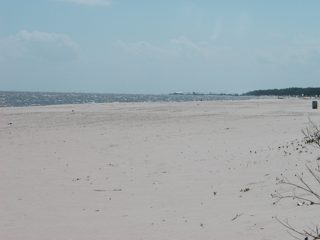 P1010023.JPG