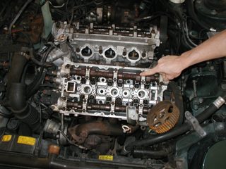 P1010001.JPG