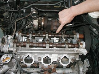 P1010002.JPG