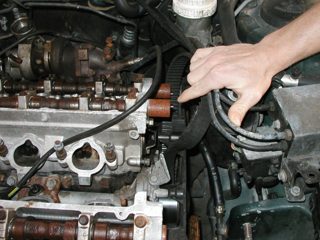 P1010007.JPG