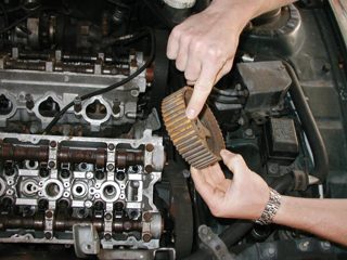 P1010008.JPG