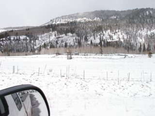 P1010020.JPG