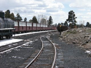 P1010076.JPG