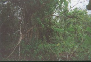 Can You See Me.JPG