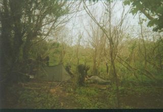 Home2.JPG