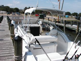 P1010004.JPG