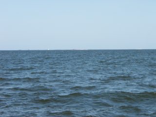 P1010006.JPG